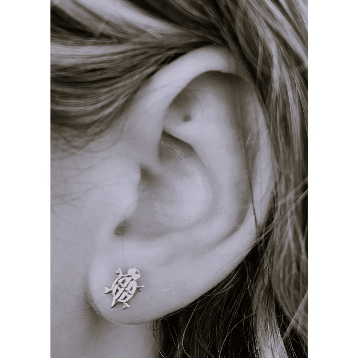 Turtle Earrings in Sterling Silver at PINCH