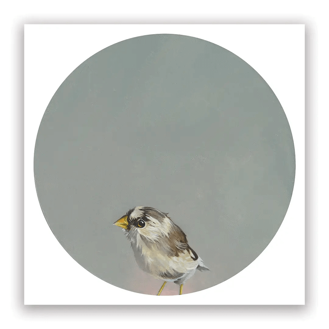 2026 Matt Adrian Fine Art Calendar from The Mincing Mockingbird at Pinch in Northampton, MA