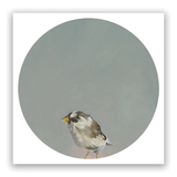 2026 Matt Adrian Fine Art Calendar from The Mincing Mockingbird at Pinch in Northampton, MA