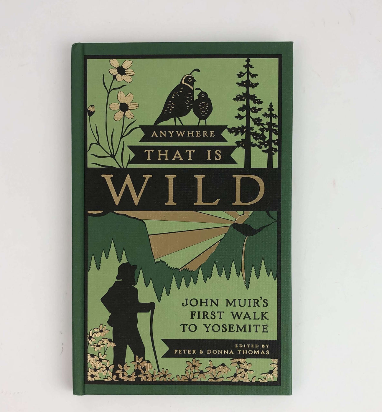 Anywhere That is Wild: John Muir's First Walk to Yosemite at PINCH
