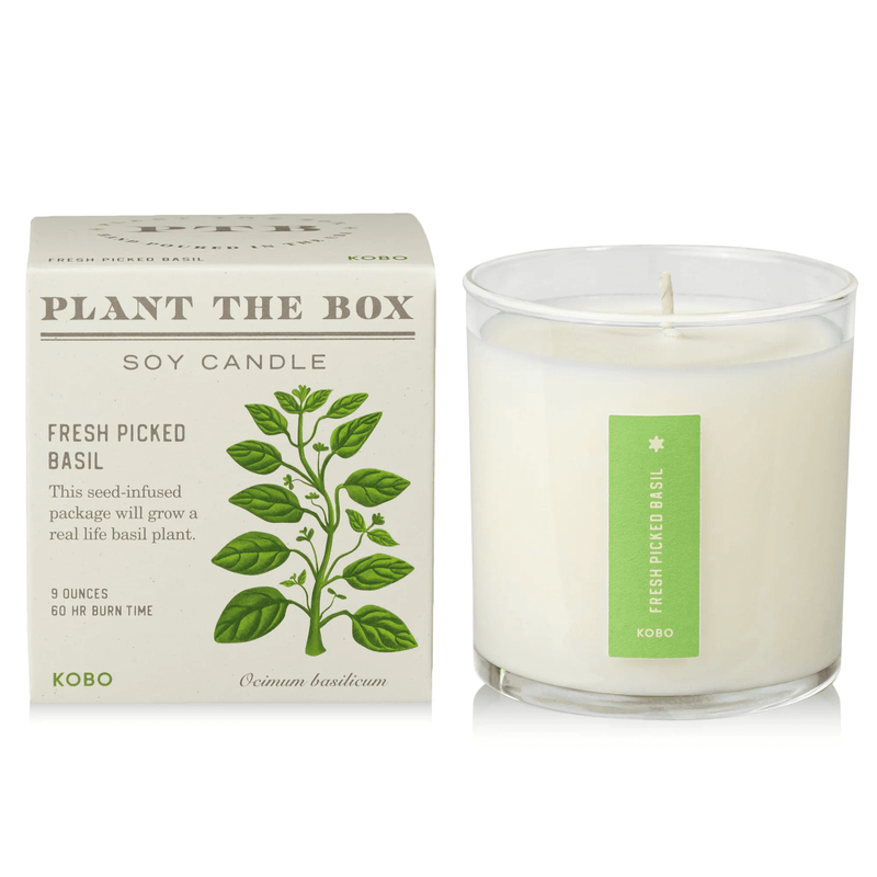Fresh Picked Basil Plant the Box Candle at PINCH