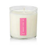 Somerset Thyme Plant the Box Candle from KOBO at Pinch in Northampton, MA