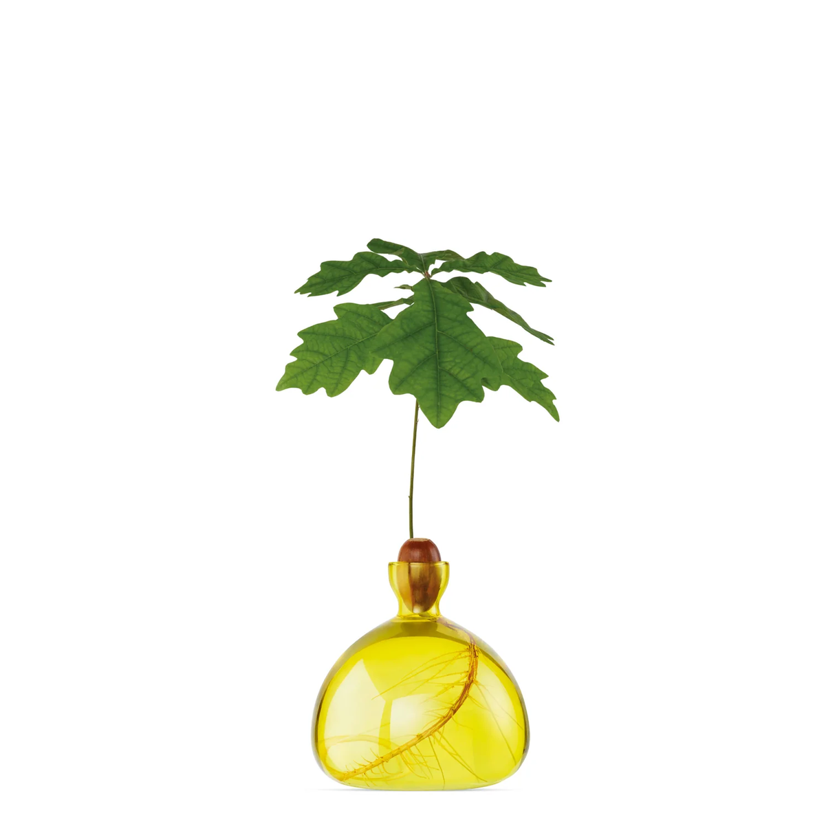 Acorn Vase in Sunlight Yellow