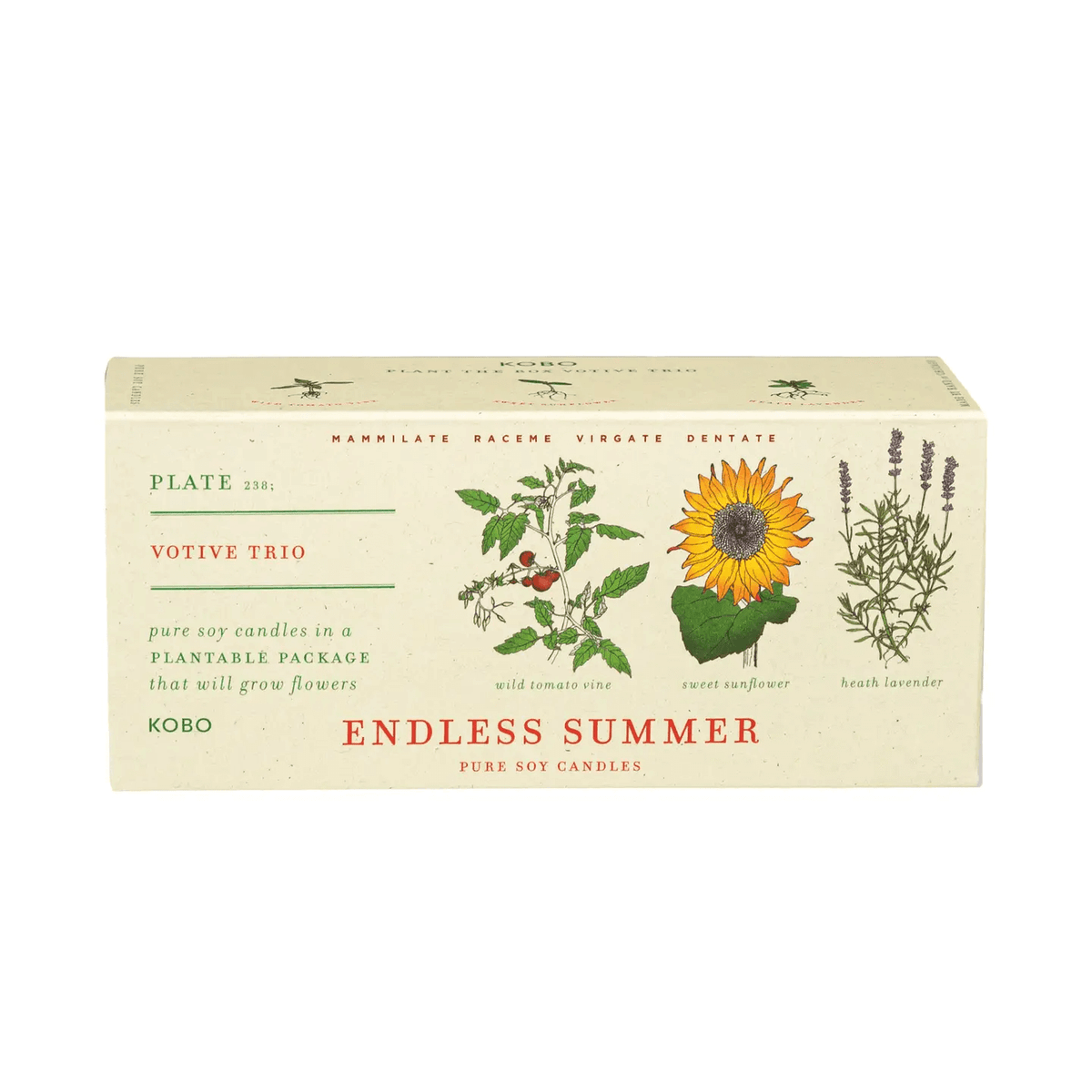 Endless Summer Votive Trio at PINCH