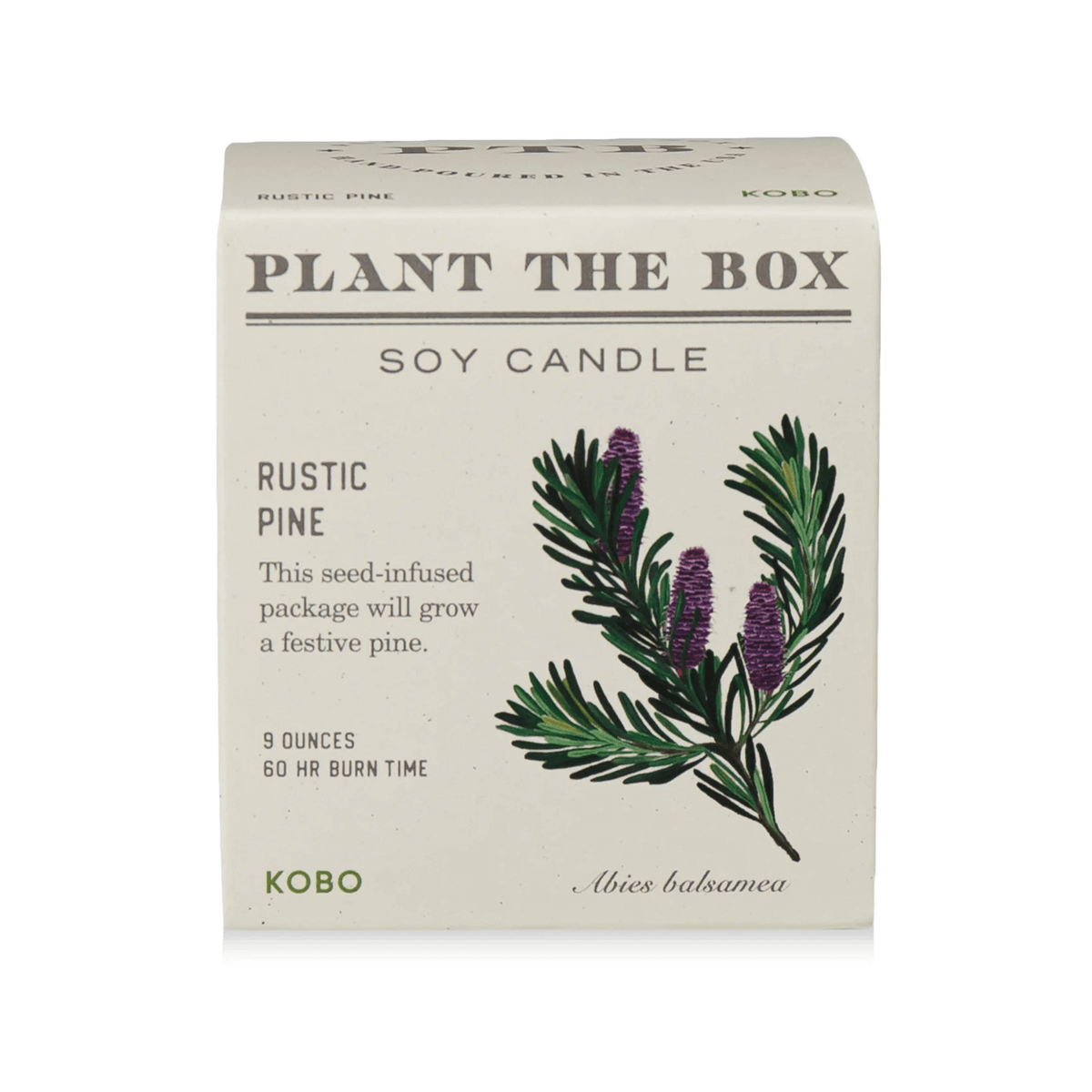 Rustic Pine Plant the Box Candle at PINCH