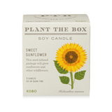 Sweet Sunflower Plant the Box Candle from KOBO at Pinch in Northampton, MA
