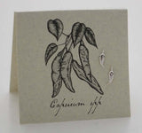 Hot Chili Pepper Earrings in Sterling Silver at PINCH