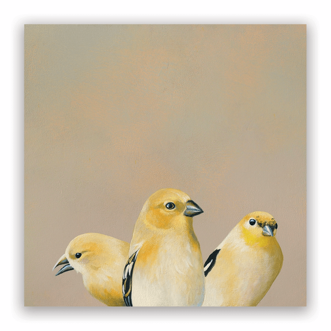 2026 Matt Adrian Fine Art Calendar from The Mincing Mockingbird at Pinch in Northampton, MA