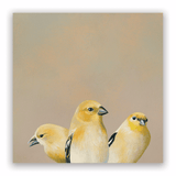 2026 Matt Adrian Fine Art Calendar from The Mincing Mockingbird at Pinch in Northampton, MA