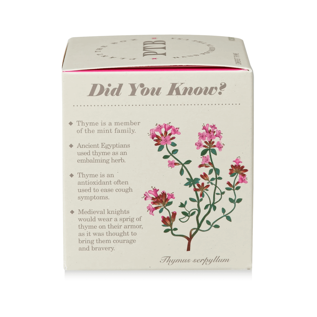 Somerset Thyme Plant the Box Candle at PINCH