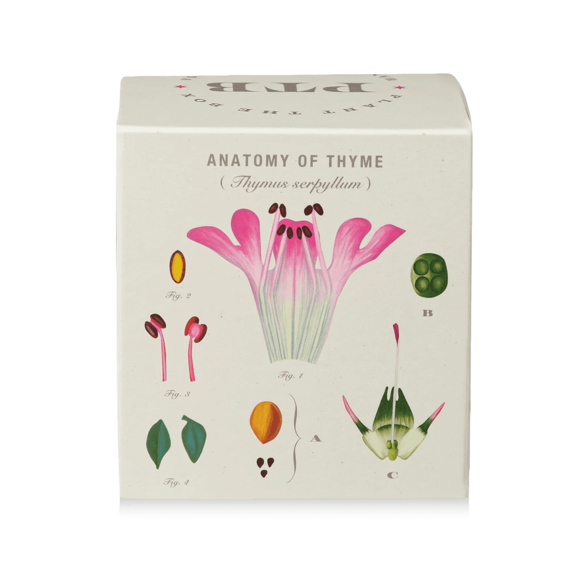 Somerset Thyme Plant the Box Candle at PINCH