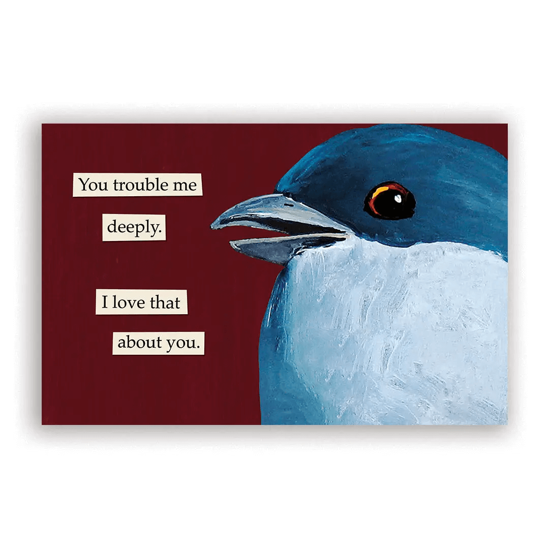 2026 Troubled Birds Calendar from The Mincing Mockingbird at Pinch in Northampton, MA