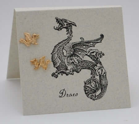 Dragon Earrings 14k Gold Fill at PINCH
