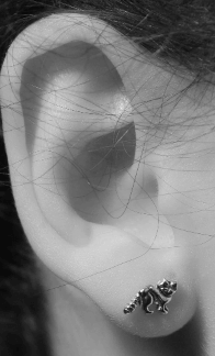 Raccoon Earrings in Sterling Silver at PINCH