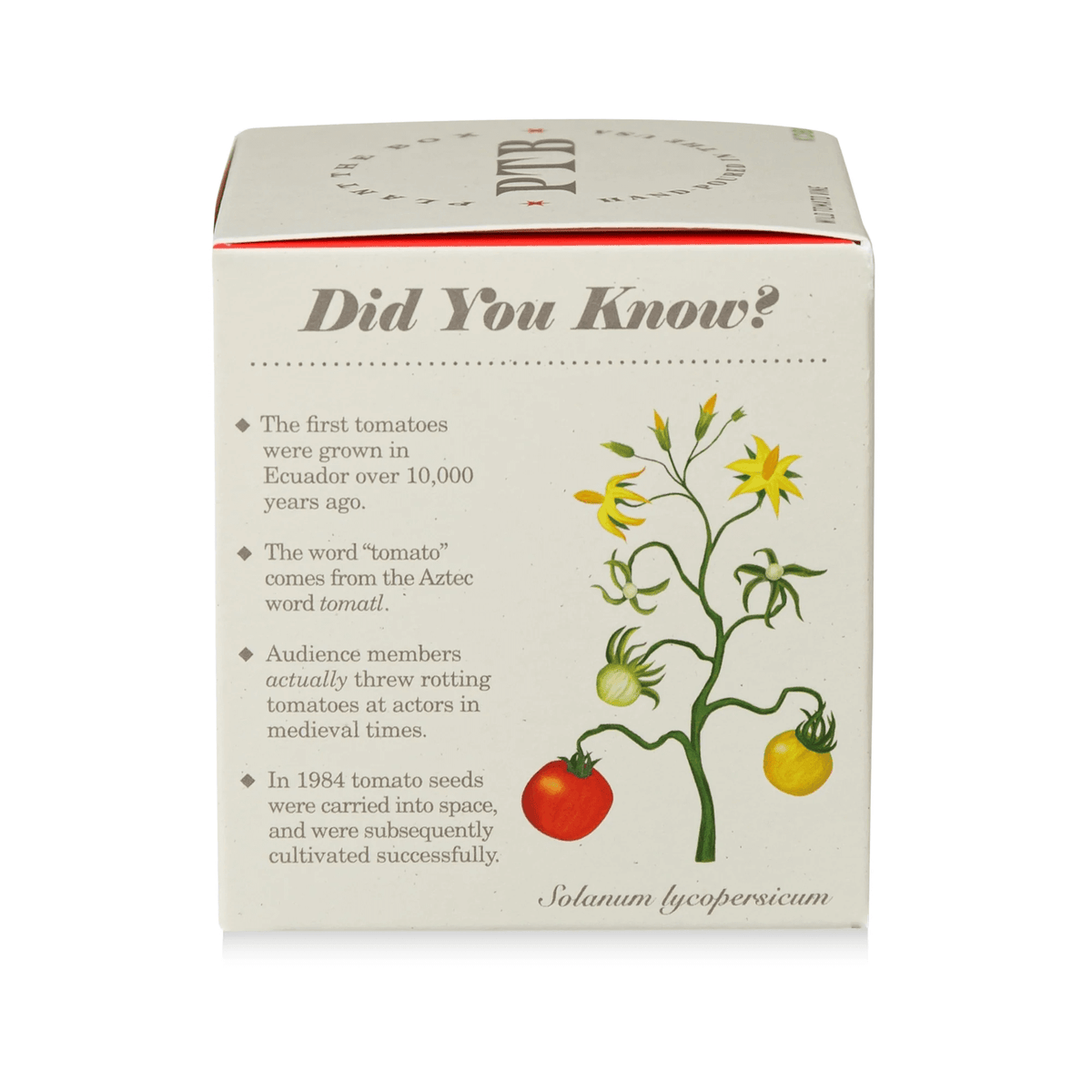 Wild Tomato Vine Plant the Box Candle at PINCH