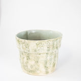 Planter "Creeping Time" at PINCH