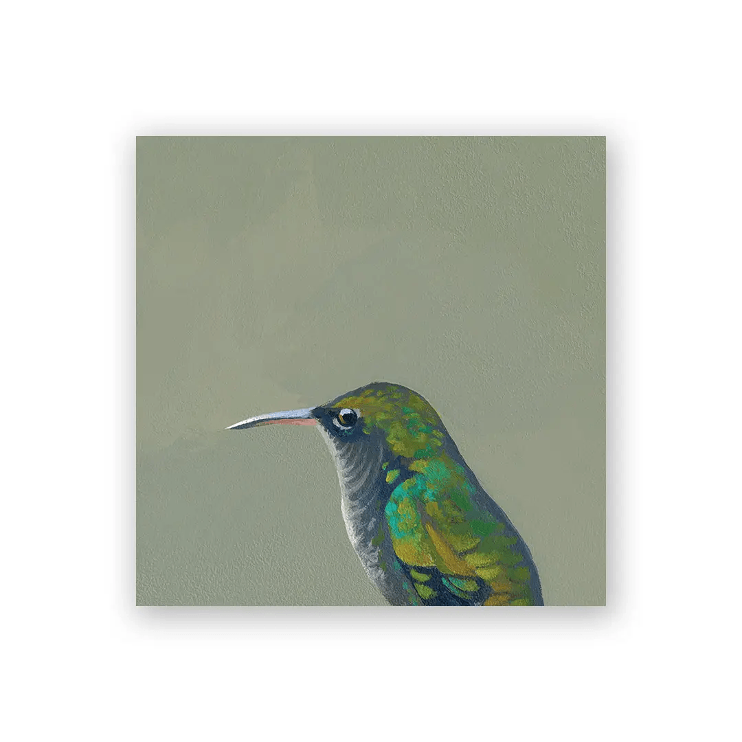 Female Violet Sawbrewing Hummingbird 4x4 Wooden Panel at PINCH
