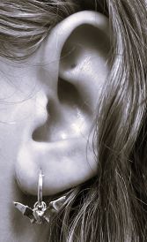 Bat Hoop Earrings in Gold Fill