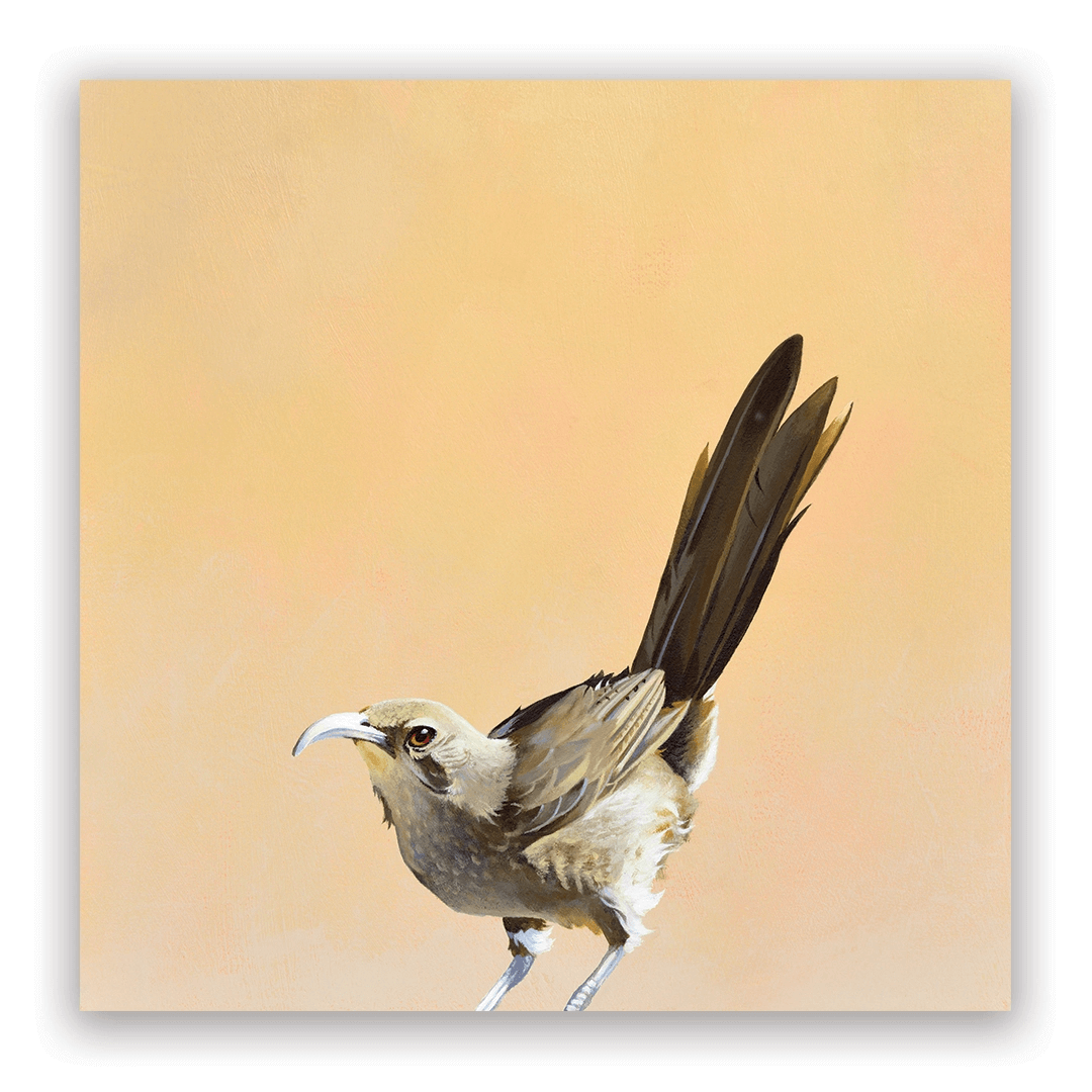 2026 Matt Adrian Fine Art Calendar from The Mincing Mockingbird at Pinch in Northampton, MA