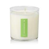 Fresh Picked Basil Plant the Box Candle from KOBO at Pinch in Northampton, MA