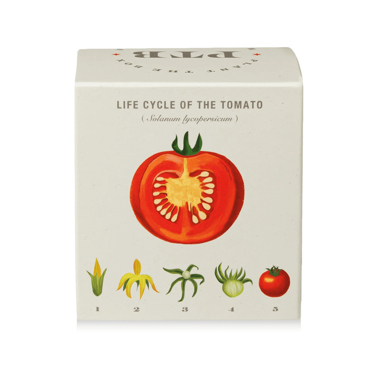 Wild Tomato Vine Plant the Box Candle at PINCH