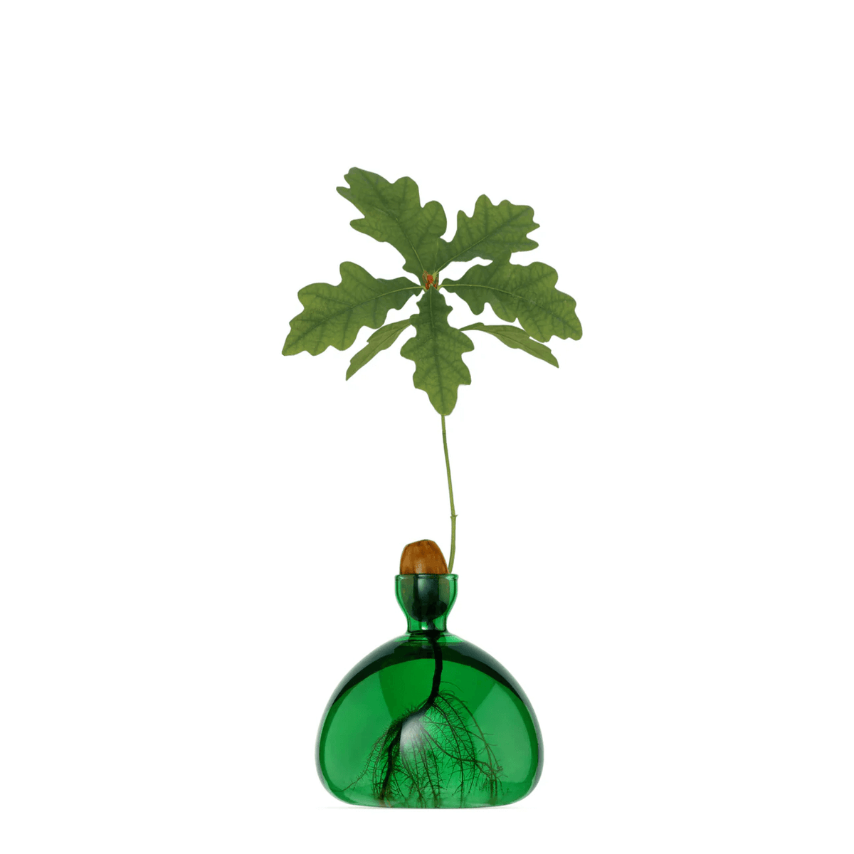 Acorn Vase in Emerald Green