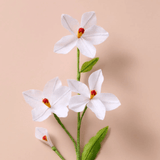 Silk Paper Paperwhite Flower