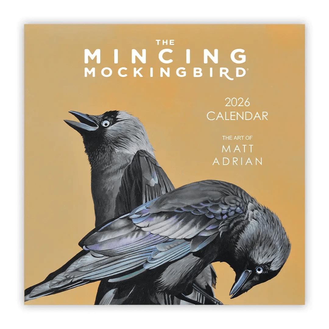 2026 Matt Adrian Fine Art Calendar from The Mincing Mockingbird at Pinch in Northampton, MA