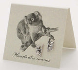 Koala Earrings in Sterling Silver at PINCH