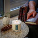Rustic Pine Plant the Box Candle