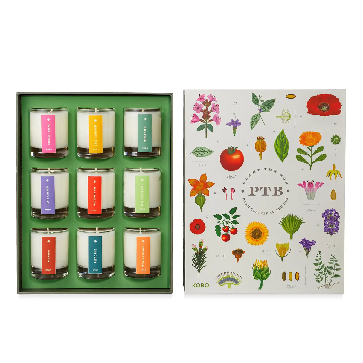 Votive Plant the Box Gift Set