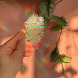 Fern Suncatcher from Polanshek of the Hills at Pinch in Northampton, MA