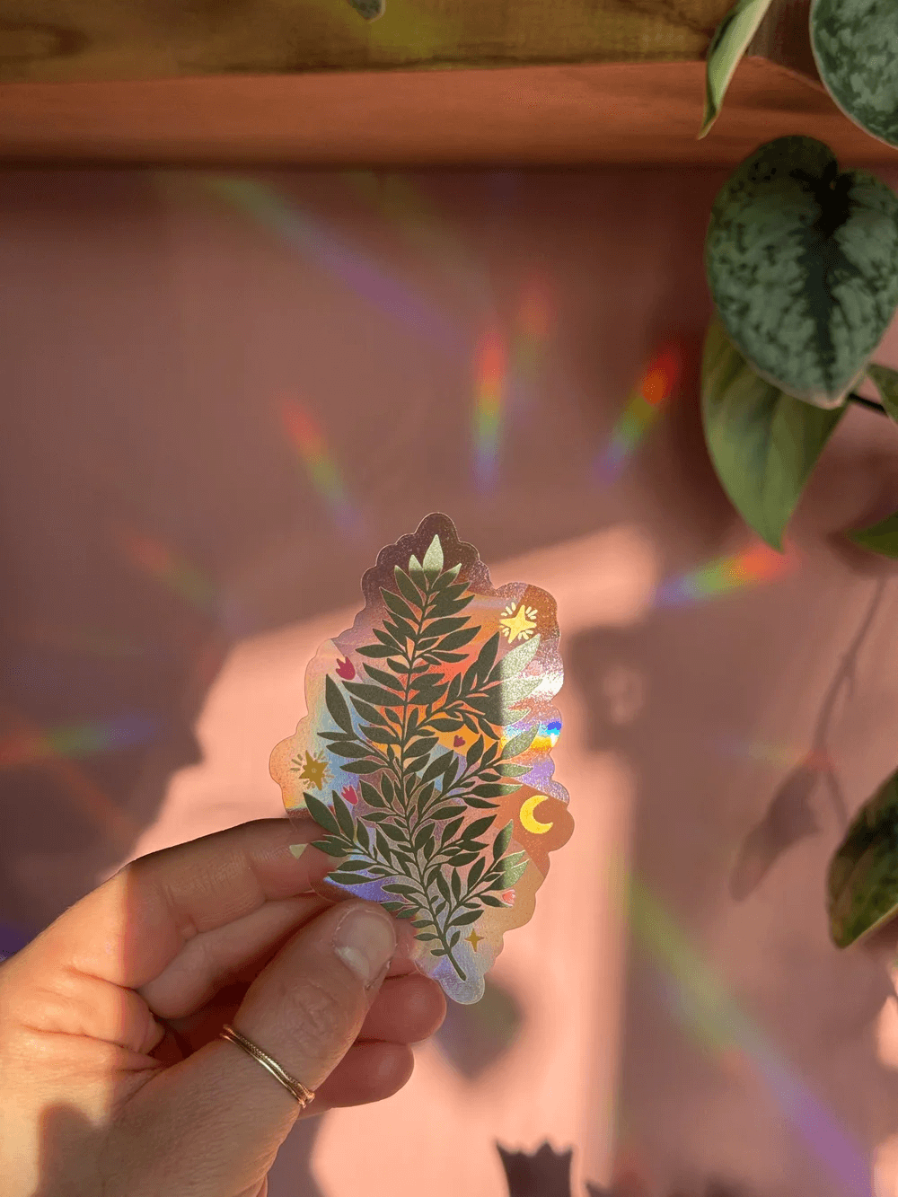Fern Suncatcher at PINCH
