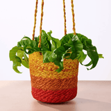 Buna Jute Plant Hanger in Red from Ten Thousand Villages at Pinch in Northampton, MA