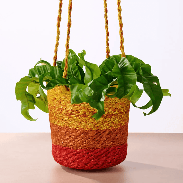 Buna Jute Plant Hanger in Red from Ten Thousand Villages at Pinch in Northampton, MA
