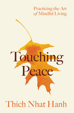 Touching Peace Book from Penguin Random House at Pinch in Northampton, MA