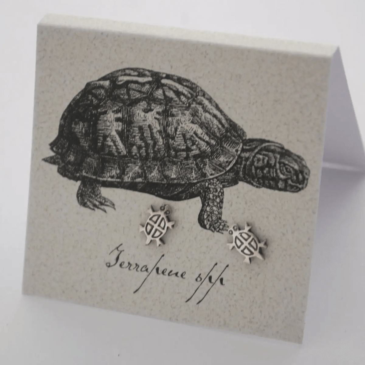 Turtle Earrings in Sterling Silver at PINCH