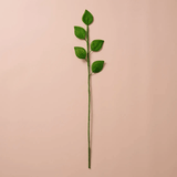 Silk Paper Lemon Leaves at PINCH