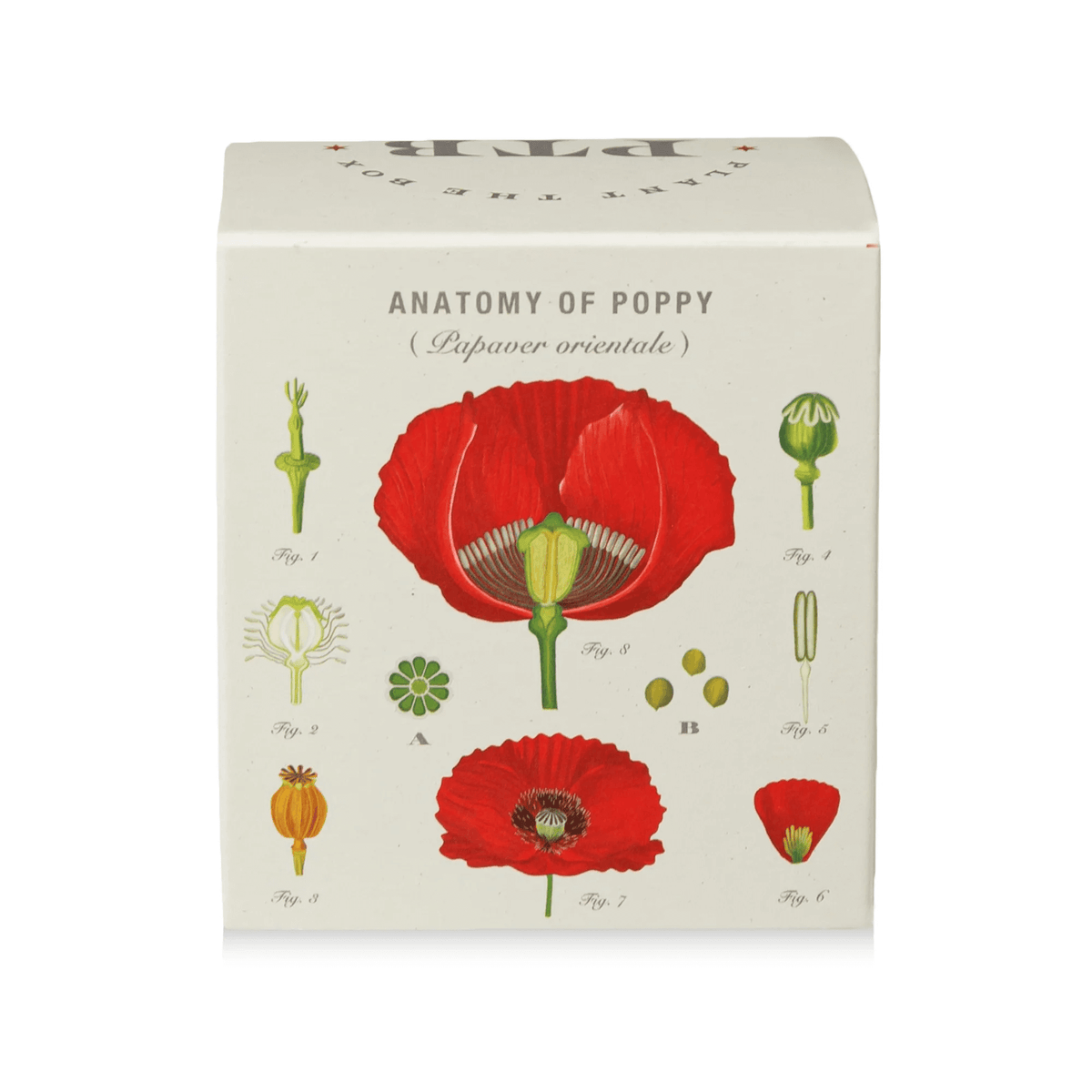 Red Poppy Plant the Box Candle at PINCH