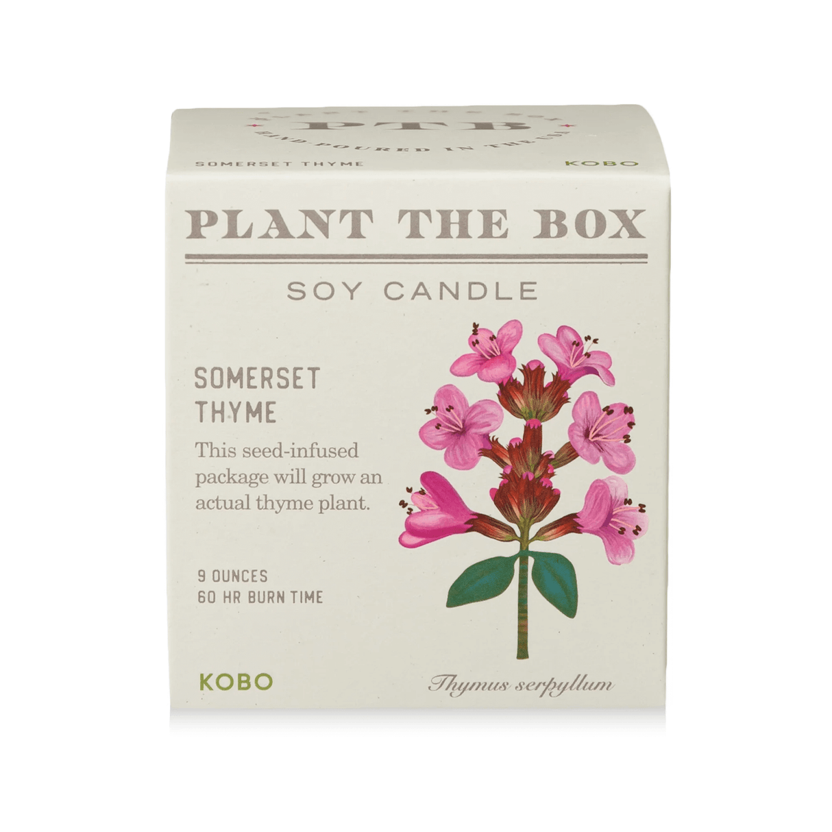 Somerset Thyme Plant the Box Candle from KOBO at Pinch in Northampton, MA
