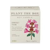 Somerset Thyme Plant the Box Candle from KOBO at Pinch in Northampton, MA
