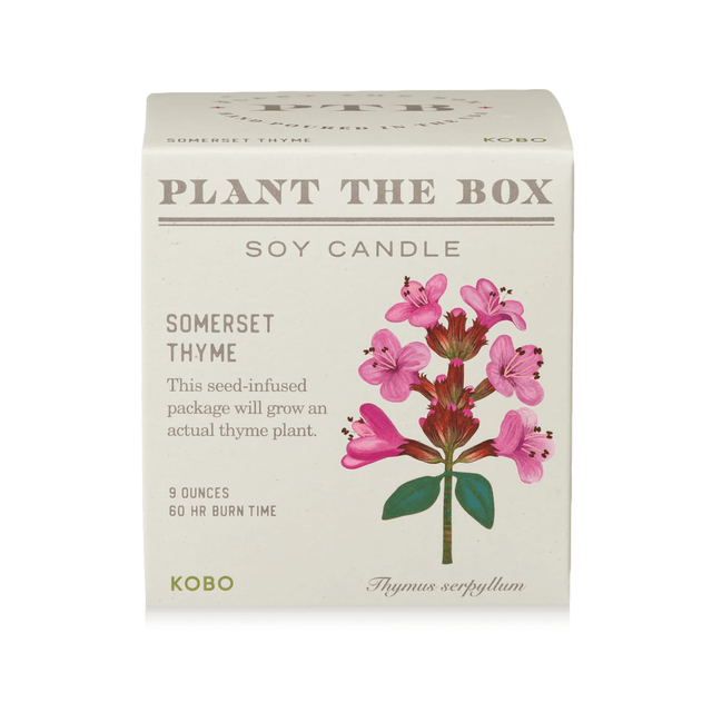 Somerset Thyme Plant the Box Candle from KOBO at Pinch in Northampton, MA