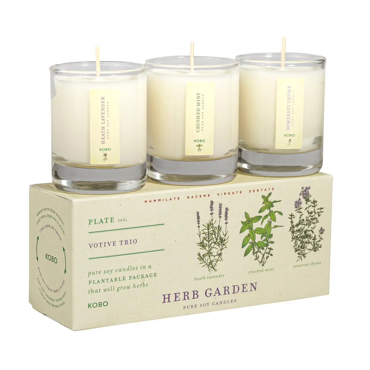 Herb Garden Votive Trio