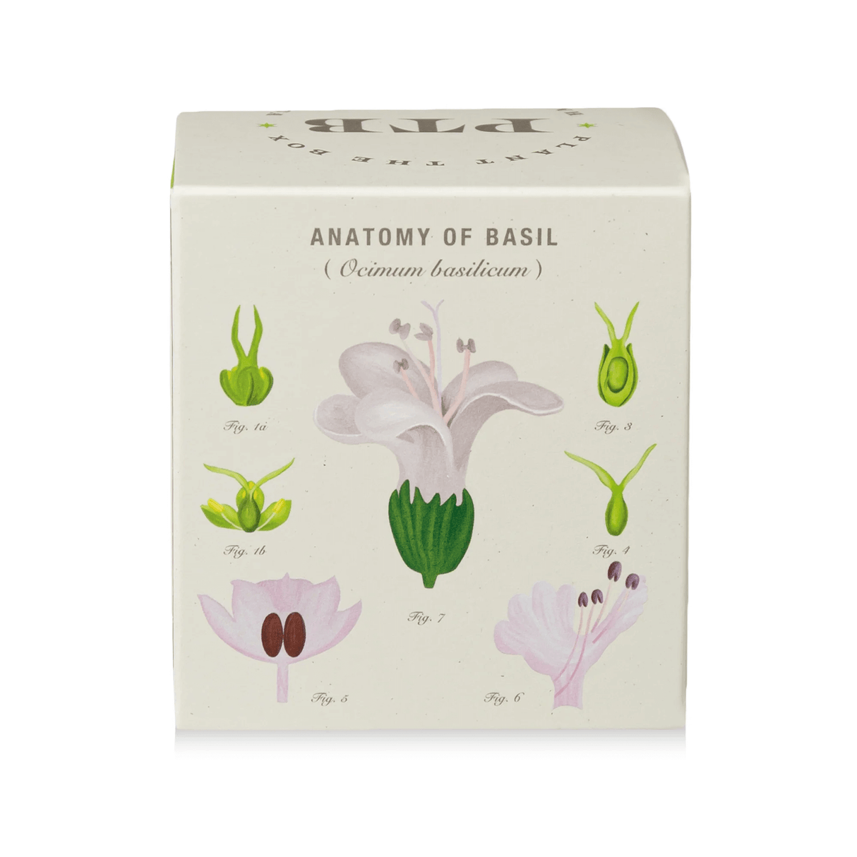 Fresh Picked Basil Plant the Box Candle from KOBO at Pinch in Northampton, MA