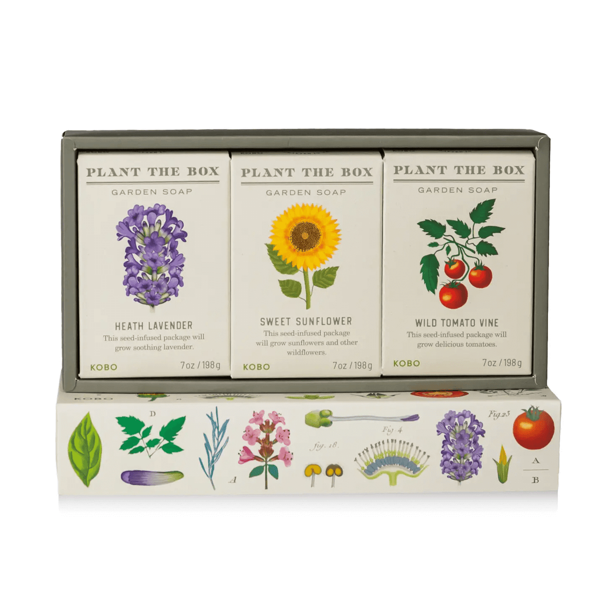 Bar Soap Plant the Box Gift Set