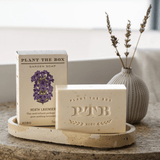 Heath Lavender Plant the Box Soap from KOBO at Pinch in Northampton, MA