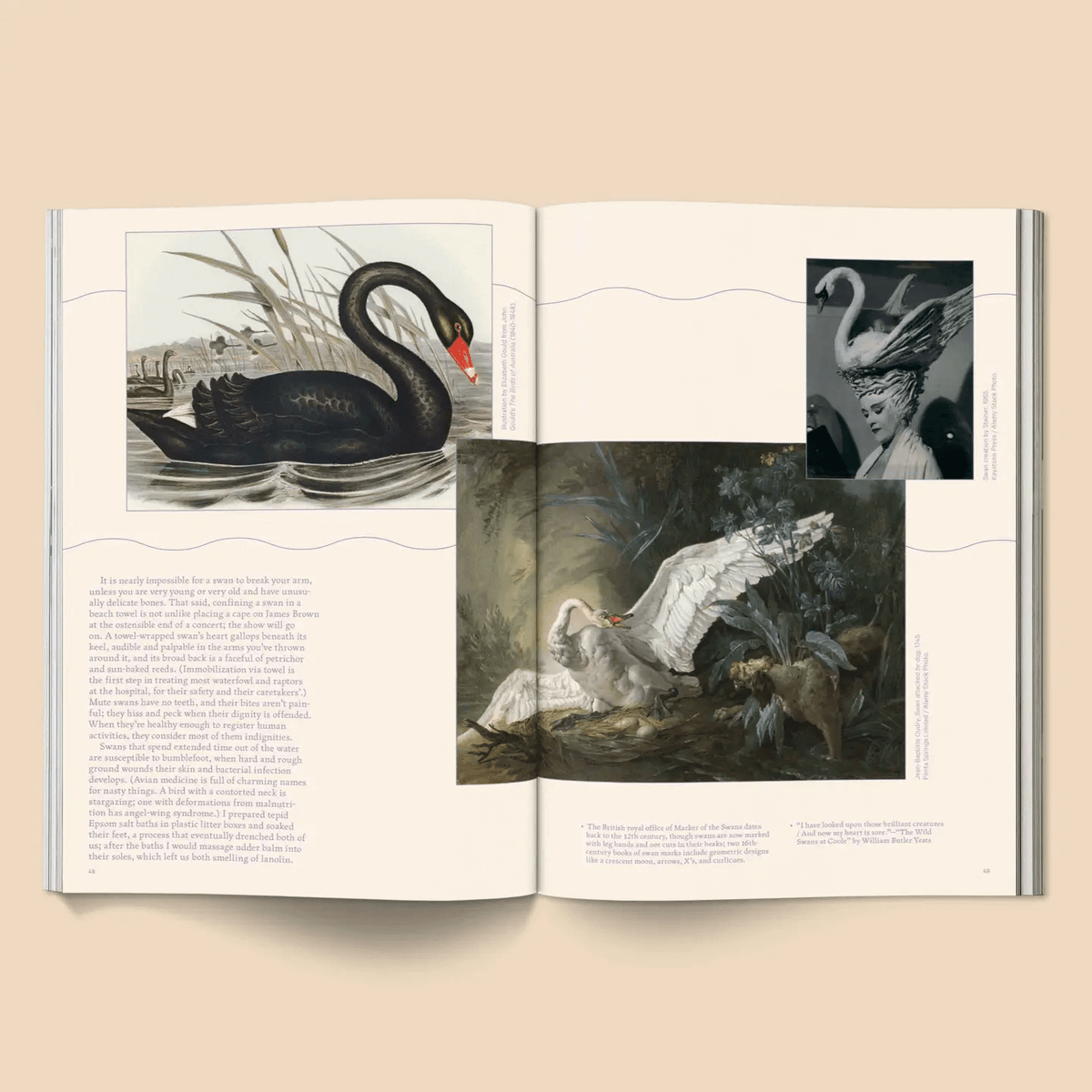 Broccoli Magazine Issue 20 at PINCH