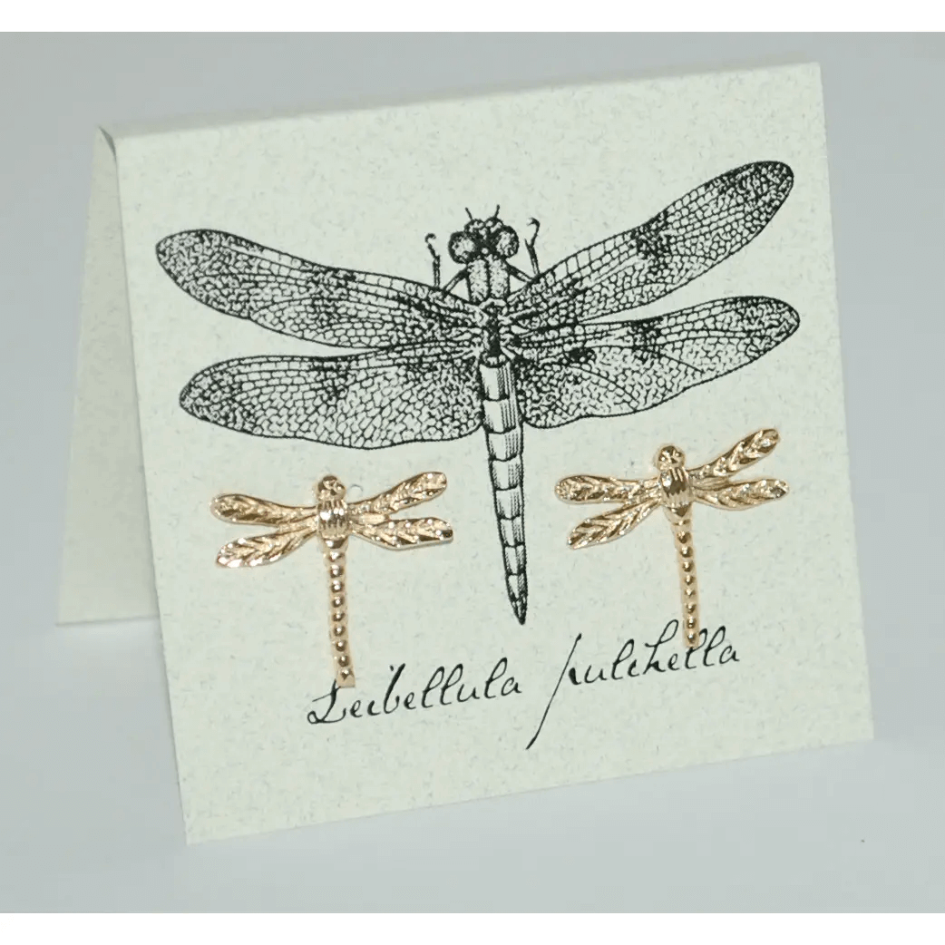 Dragonfly Studs in 14K Gold Fill from semaki & bird at Pinch in Northampton, MA