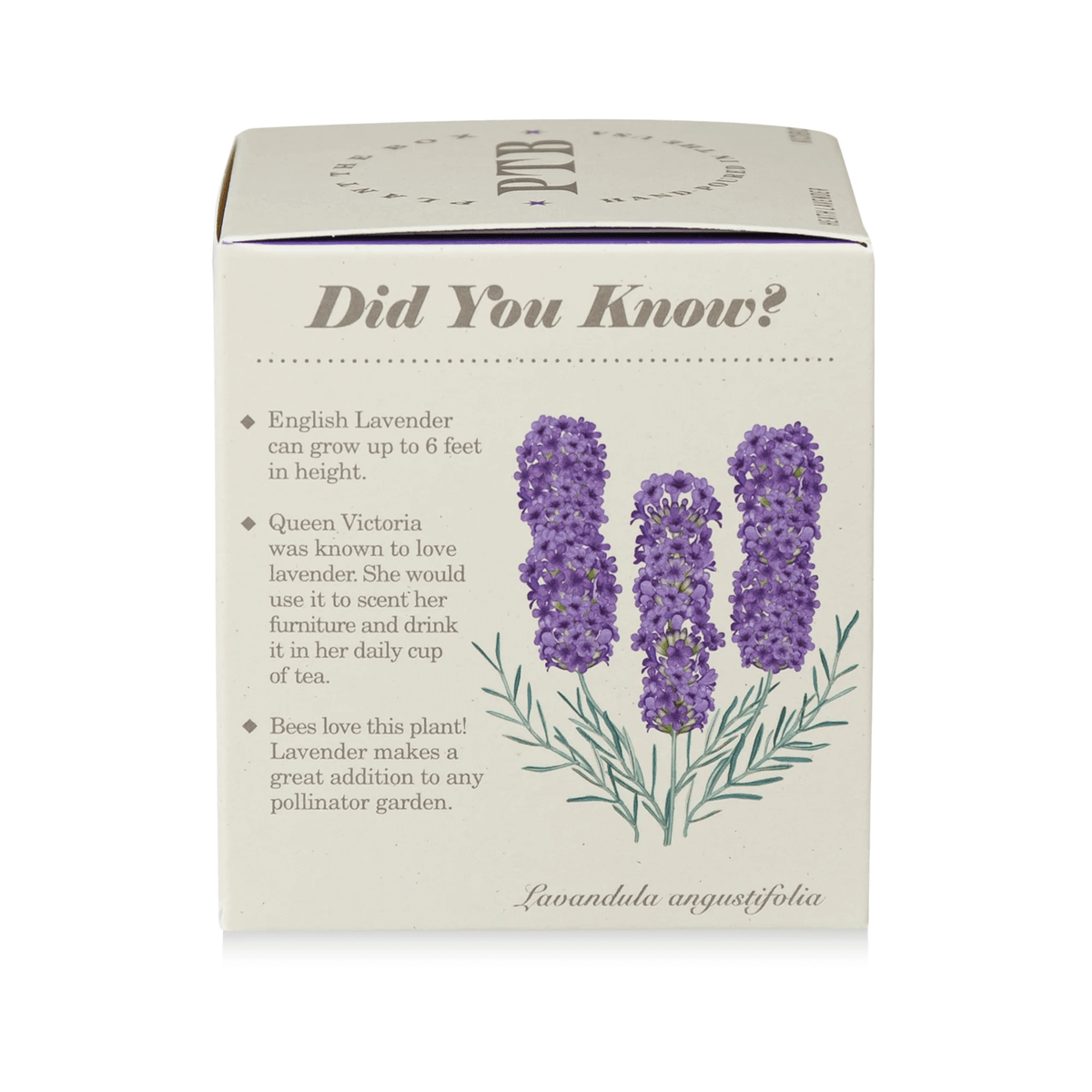 Heath Lavender Plant the Box Candle at PINCH