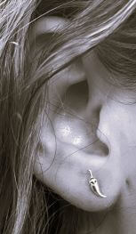 Hot Chili Pepper Earrings in Sterling Silver at PINCH